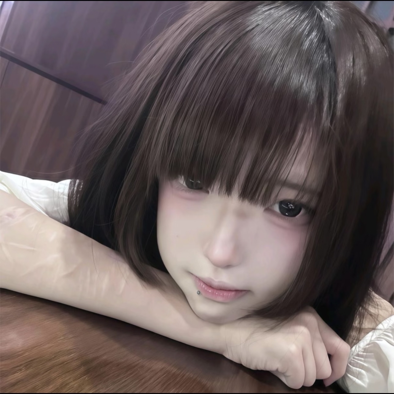 King Charles Cavalier